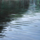 paintings_icon_34.jpg